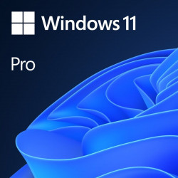 Microsoft Windows 11 Professional 64-bit OEM DVD
